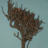 1/35 scale Dead tree (one tree per kit )