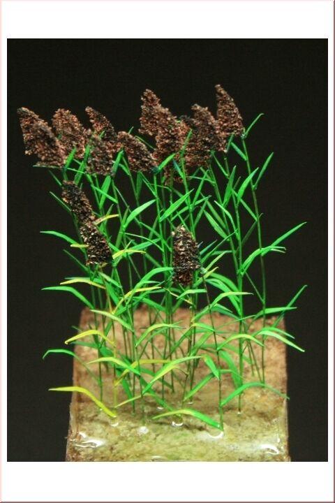 1/35 Scale Greenline Reed plants set.