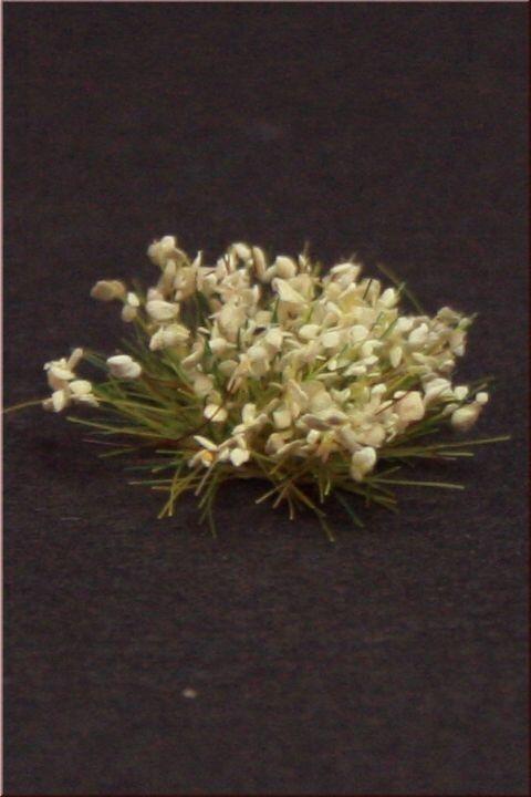 1/35 Scale Greenline Flowers White 40 Pieces
