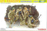 Dragon 1/35 scale US RANGERS NORMANDY 1944  LTD