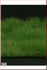 1/35 Scale Greenline Short Grass mat-Dark Green