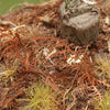 Model Scene - LOW VEGETATION 1:32 / 1:35 Dry Fern