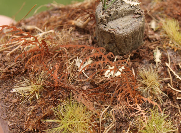 Model Scene - LOW VEGETATION 1:32 / 1:35 Dry Fern