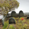 1/35 Scale Tomb stones  assorted Grave markers - Set of 4