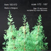 1/72 scale pine trees set