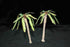 1/48 scale palm trees set (Europe Africa)