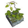1/35 scale photo etch kit Jungle Plants C, 35079