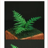 1/35 Scale Greenline Ferns plant set 2