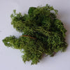 Green Lichen - 20g pack
