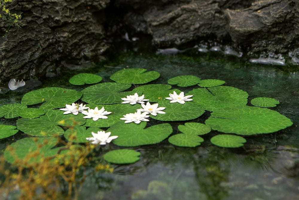 Model Scene - LOW VEGETATION 1:32 / 1:35 Waterlily 1:35